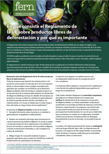 En qué consiste el Reglamento de la UE sobre productos libres de deforestación y por qué es importante