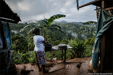 A solid starting point for sustainability and an EU-Indonesia FTA