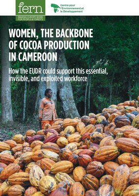 Women, the backbone of cocoa production in Cameroon