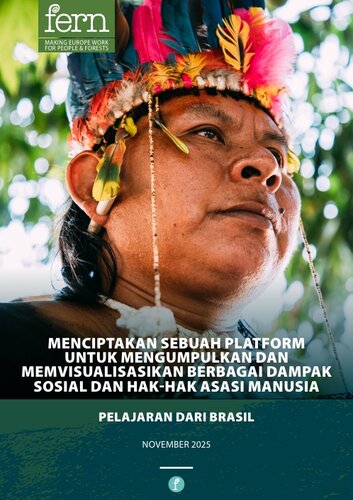 Menciptakan sebuah Platform untuk mengumpulkan dan memvisualisasikan berbagai dampak sosial dan hak-hak asasi manusia: Pelajaran dari Brasil