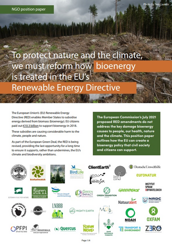 NGOs: "To protect nature and the climate, we must reform how bioenergy is treated in the EU’s Renewable Energy Directive"