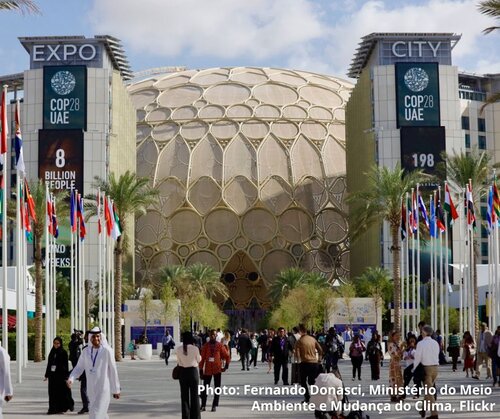 COP28 commits to a vague, eventual transition away from fossil fuels, but emphasises the importance of ending forest loss