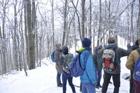 Primeval forests may have won in Slovakia’s election