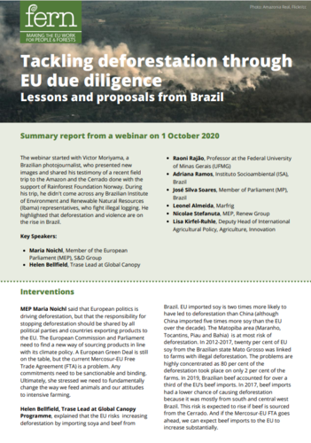 Tackling deforestation through EU due diligence: lessons and proposals from Brazil