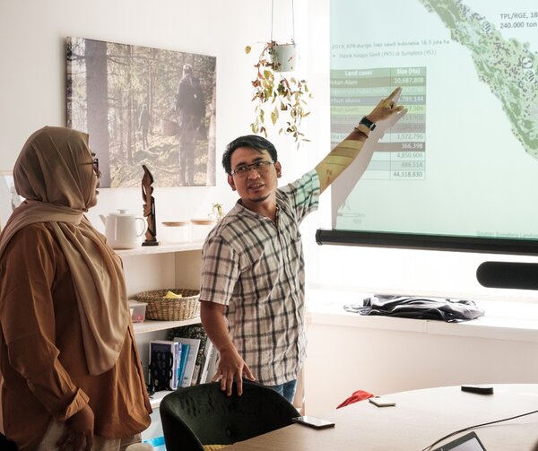 The PPWR: an opportunity to curb demand for pulp, or a threat to tropical forests?