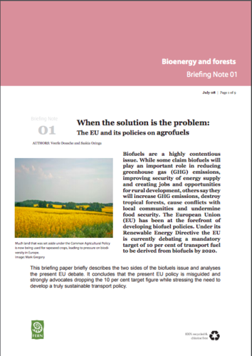 When the solution is the problem: The EU and its policies on agrofuels