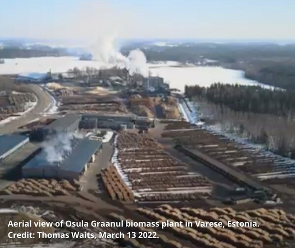 European biomass industry confirms it is burning large amounts of “low-quality stemwood” (tree trunks)