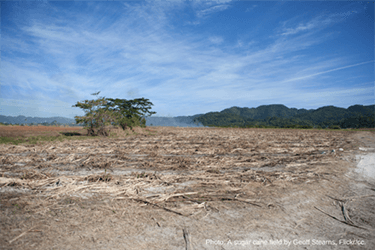 Commission moves toward suspending Cambodia’s preferential access to the EU