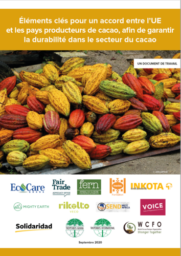 Éléments clés pour un accord entre l’UE et les pays producteurs de cacao, afin de garantir la durabilité dans le secteur du cacao