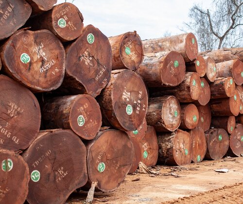 Strong partnerships must build on two decades of FLEGT results