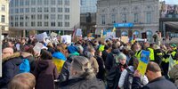 Forest Watch 273 - March 2022
