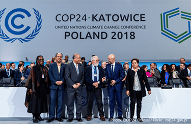 Katowice Forest Declaration: It’s in the way that you use it