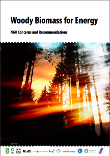 Woody Biomass for Energy: NGO Concerns and Recommendations