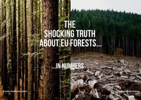 The shocking truth about EU forests in numbers