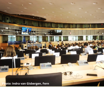 The European Parliament’s Environment Committee heeds Indigenous Peoples’ voices