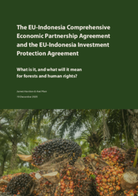 The EU-Indonesia Comprehensive Economic Partnership Agreement and the EU-Indonesia Investment Protection Agreement