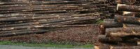 Bioenergy