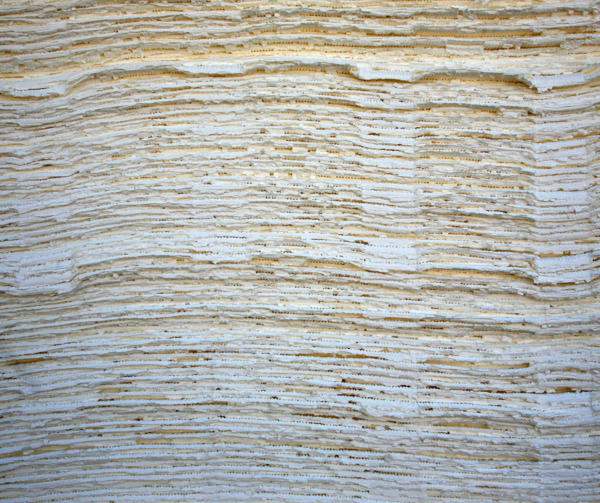 EUDR: What is the US paper industry afraid of?