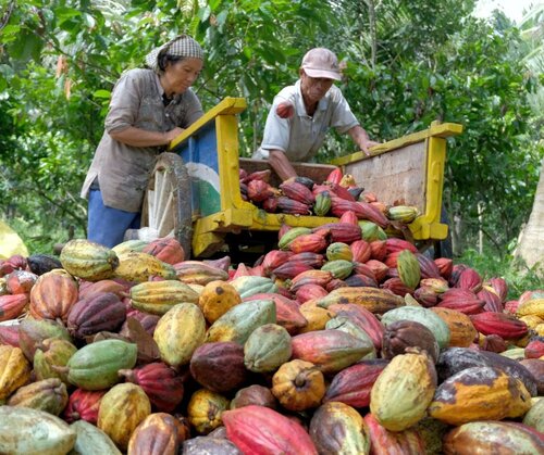 A Just Transition for Smallholders