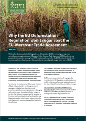 Why the EU Deforestation Regulation won’t sugar coat the EU-Mercosur Trade Agreement