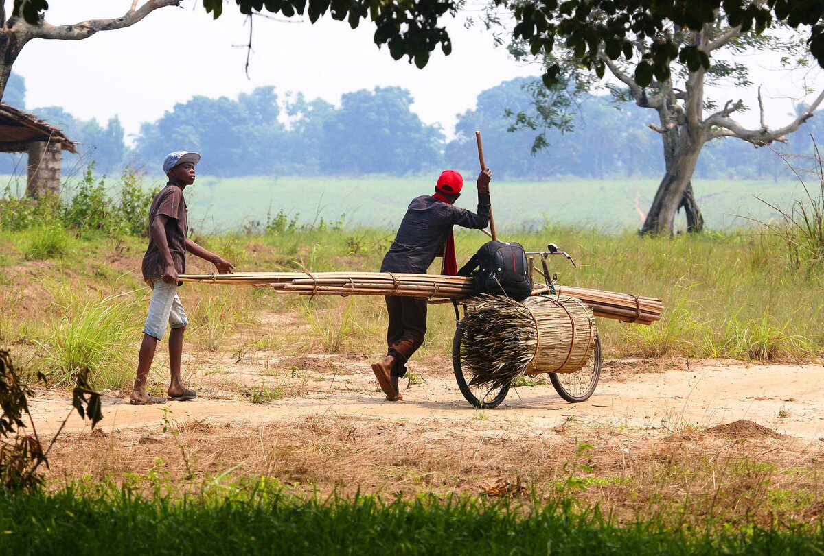 Bike Carrying Canes Democratic Republic of Congo