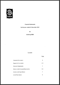 Financial Statements for the year ending 31 December 2012