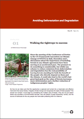 Avoiding Deforestation and Degradation: Walking the tightrope to success
