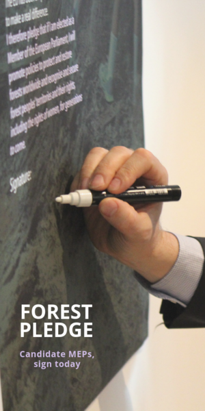 50+ forest experts and NGOs ask EU candidates to stand for forests