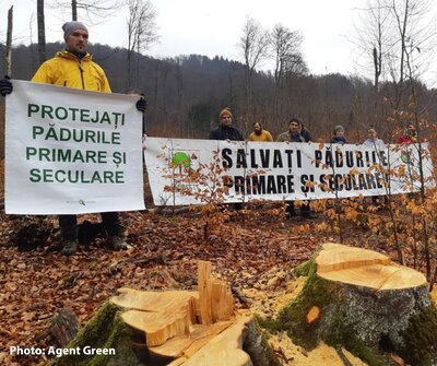 Romania: While enforcement of EU rules stagnates, ‘panic logging’ is on the rise