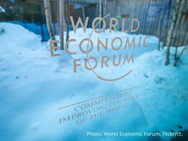 Tree-planting is the talk of Davos: why this dangerous narrative must be challenged