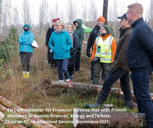 Is the EU poised to improve public financing of forest management?