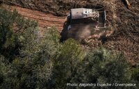 What are the causes of deforestation?
