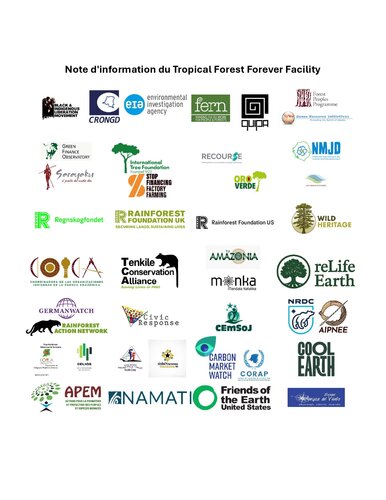 Note d'information du Tropical Forest Forever Facility
