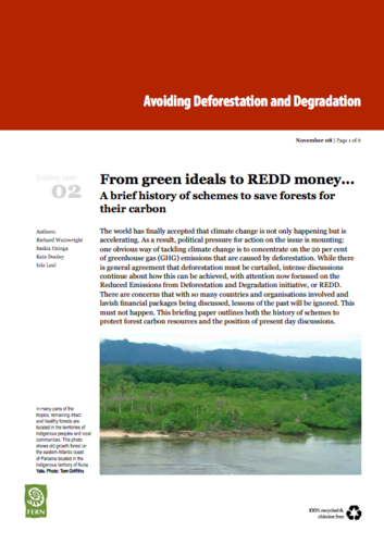 From green ideals to REDD money