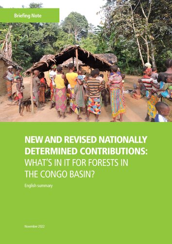COP27: Congo Basin countries must increase ambition to protect the world’s second green lung