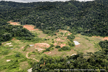 Montagne d’Or Mine: France needs to walk the talk on halting deforestation in the tropics