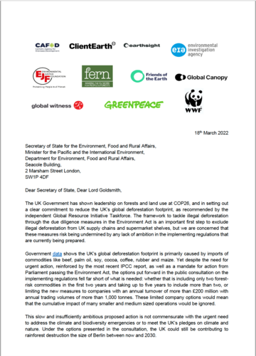 Open letter calling on the UK government to ensure new laws on addressing deforestation cover all commodities