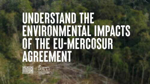 EU-Mercosur trade deal: What does it mean for Brazil?