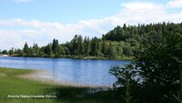 One Planet: EU heads of state commit to nature protection targets and deforestation regulation