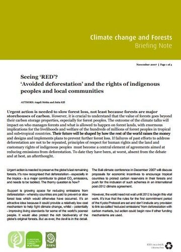 Seeing RED; avoided deforestation and rights issues