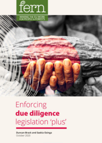 Enforcing due diligence legislation ‘plus’