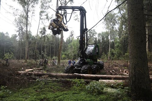 Blog: Białowieża forest struggle is symptomatic of a greater ill