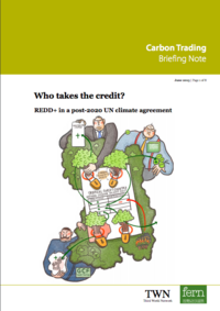 Who takes the credit? REDD+ in a post-2020 UN climate agreement