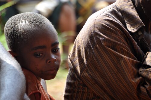 The Long Wait: Cameroon’s forest communities seek their dues