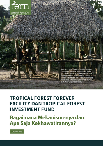 Tropical Forest Forever Facility dan Tropical Forest Investment Fund: Bagaimana Mekanismenya dan Apa Saja Kekhawatirannya?
