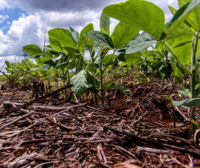 EU Vision on Agriculture and Food: the Commission ignores consensus from last year’s dialogues