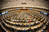 To argue or stay silent on forests? Parliament committees jostle over the 2050 climate strategy