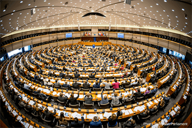 To argue or stay silent on forests? Parliament committees jostle over the 2050 climate strategy