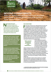 Beyond commitments: How can Nationally Determined Contributions contribute to forest governance and resilient local communities?