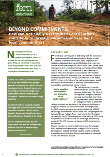 Beyond commitments: How can Nationally Determined Contributions contribute to forest governance and resilient local communities?